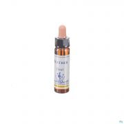 Healing Herbs Heather 10 ml - Vue détail 1