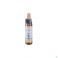 Healing Herbs Aspen 10 ml - Vue détail 1