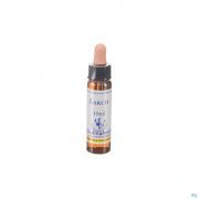 Healing Herbs Larch 10 ml - Vue détail 1