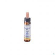 Healing Herbs Chestnut Bud 10 ml - Vue détail 1