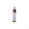 Healing Herbs Chestnut Bud 10 ml - Vue détail 1