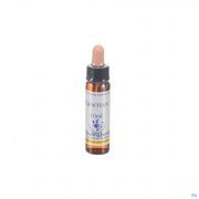 Healing Herbs gentian 10Ml - Detail 1