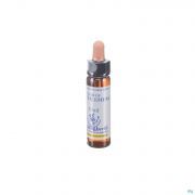 Healing Herbs Star Bethlehem 10Ml - Detail 1