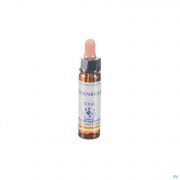 Healing Herbs Hornbeam 10 ml - Vue détail 1