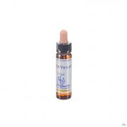 Healing Herbs Water Violet 10 ml - Vue détail 1