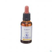 Healing Herbs Larch 30 ml - Vue détail 1