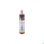 Healing Herbs Cerato 10 ml - Vue détail 1