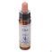 Healing Herbs Oak 10 ml - Vue détail 2