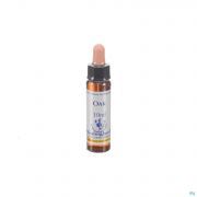 Healing Herbs Oak 10Ml - Detail 1