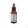Healing Herbs Chestnut Bud 30Ml - Detail 2