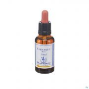 Healing Herbs Chestnut Bud 30Ml - Detail 1