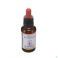 Healing Herbs Star Bethlehem 30Ml - Detail 2