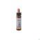 Healing Herbs Beech 10 ml - Vue détail 2