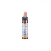 Healing Herbs Beech 10 ml - Vue détail 1