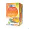 Biolys The Vert Orthosiphon 24 Sachets