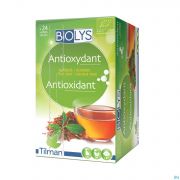 Biolys Rooibos groene Thee Sach 24