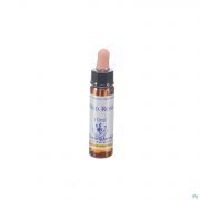 Healing Herbs Wild Rose 10Ml - Detail 1