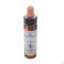 Healing Herbs Red Chestnut 10Ml