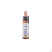 Healing Herbs gorse 10Ml - Detail 1