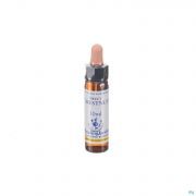 Healing Herbs Sweet Chestnut 10 ml - Vue détail 1