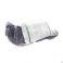 Lohmann Rauscher Cellona Shoecast Loopzool '1' Links 50860 - Detail 2