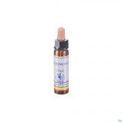 Healing Herbs Agrimony 10 ml - Vue détail 1