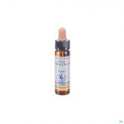 Healing Herbs White Chestnut 10Ml - Detail 1