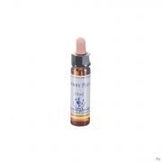 Healing Herbs Cherry Plum 10 ml - Vue détail 1