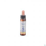 Healing Herbs Olive 10Ml - Detail 1