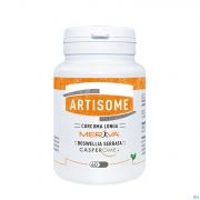 Dynarop Artisome Comprimes 60 X 1000 mg