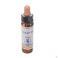 Healing Herbs Scleranthus 10 ml - Vue détail 2