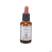 Healing Herbs gorse 30 ml - Vue détail 1