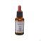 Healing Herbs Sweet Chestnut 30Ml - Detail 2