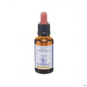 Healing Herbs Sweet Chestnut 30Ml - Detail 1