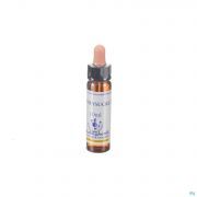 Healing Herbs Honeysuckle 10 ml - Vue détail 1