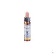 Healing Herbs Walnut 10 ml - Vue détail 1