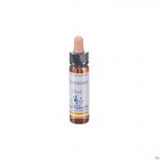 Healing Herbs Centaury 10 ml - Vue détail 1