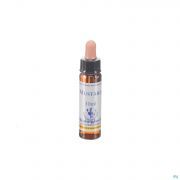 Healing Herbs Mustard 10 ml - Vue détail 1