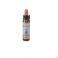 Healing Herbs Willow 10Ml