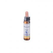 Healing Herbs Willow 10Ml - Detail 1