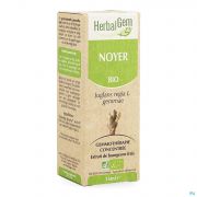 Herbalgem Walnoot Maceraat 15Ml - Detail 1
