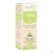 Herbalgem Cedre Macerat 15 ml - Vue détail 1
