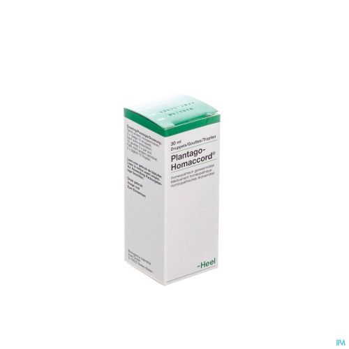 Plantago-homaccord Gutt 30ml Heel