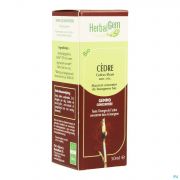 Herbalgem Libanonceder Maceraat 50Ml - Detail 1