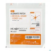 Honeypatch Moist genez.honing20G+Alg.ster10X10Cm 1