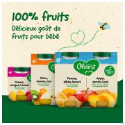 Olvarit Fruit Pomme Mangue Banane 2x125g