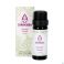 Sjankara Cumin Huile Essentielle 11 ml - Produit 1