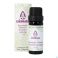 Sjankara Rozemarijn Ct Kamfer Ess. Olie Bio 11Ml - Product 1