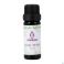 Sjankara Vanille 10-Fold Ess. Olie 11Ml - Product 2