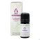 Sjankara Angelique Huile Ess. 2,5ml